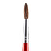 Picture of JUNIOR PAINTBRUSH ROUND